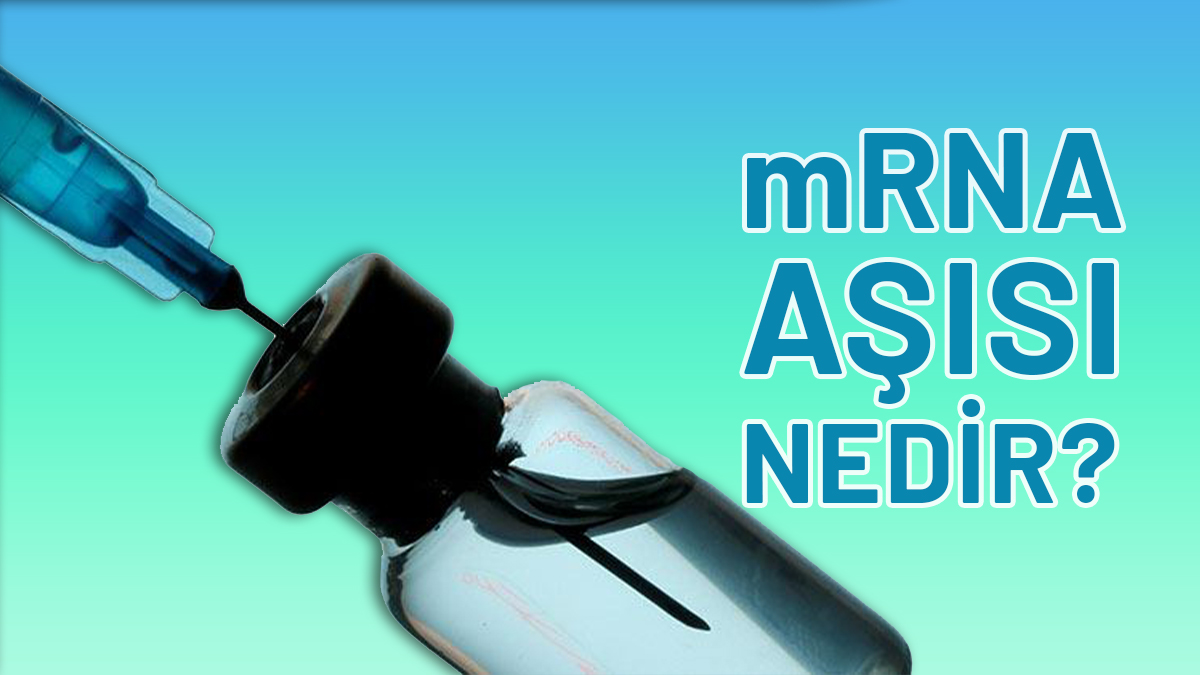 mRna Aşısı Nedir? Gerçekten İşe Yarıyor mu?